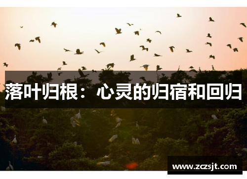 落叶归根：心灵的归宿和回归